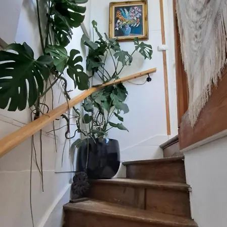 Konukevi Le Soleil Levant 3*