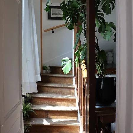 Konukevi Le Soleil Levant 3*