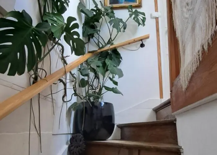 Gasthuis Le Soleil Levant 3*